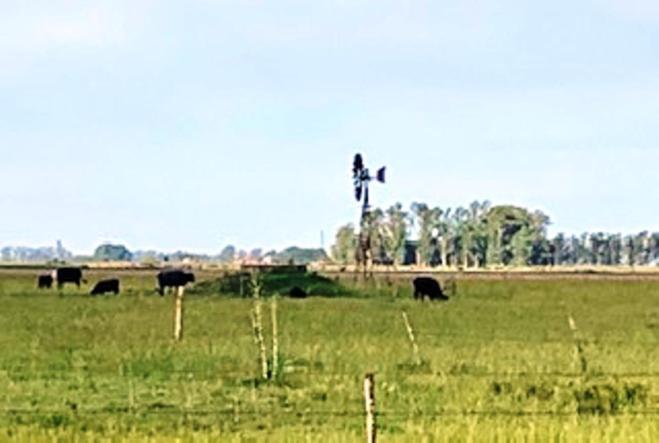Holiday home Don Luis Bueno Carmen de Areco