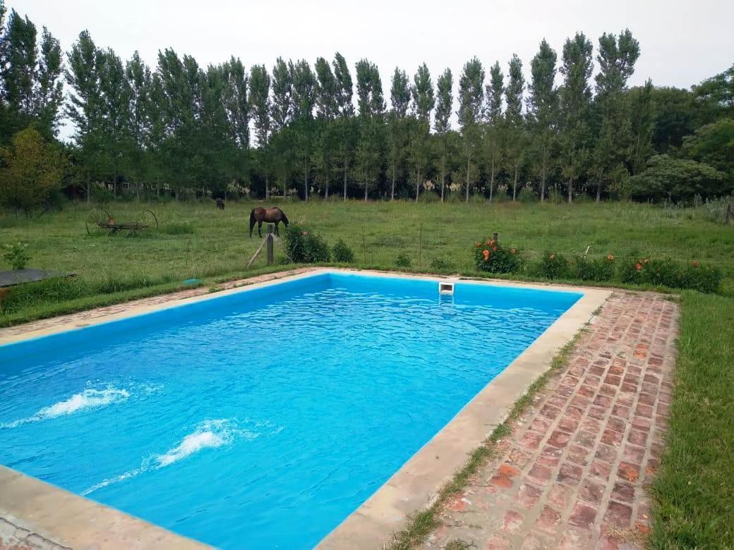 Holiday home Don Luis Bueno *