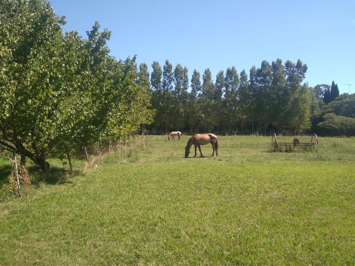 Don Luis Bueno Holiday home Carmen de Areco
