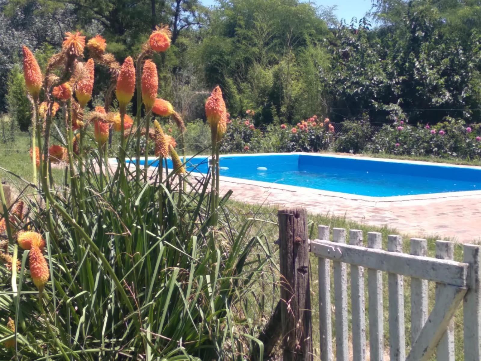 Don Luis Bueno * Carmen de Areco