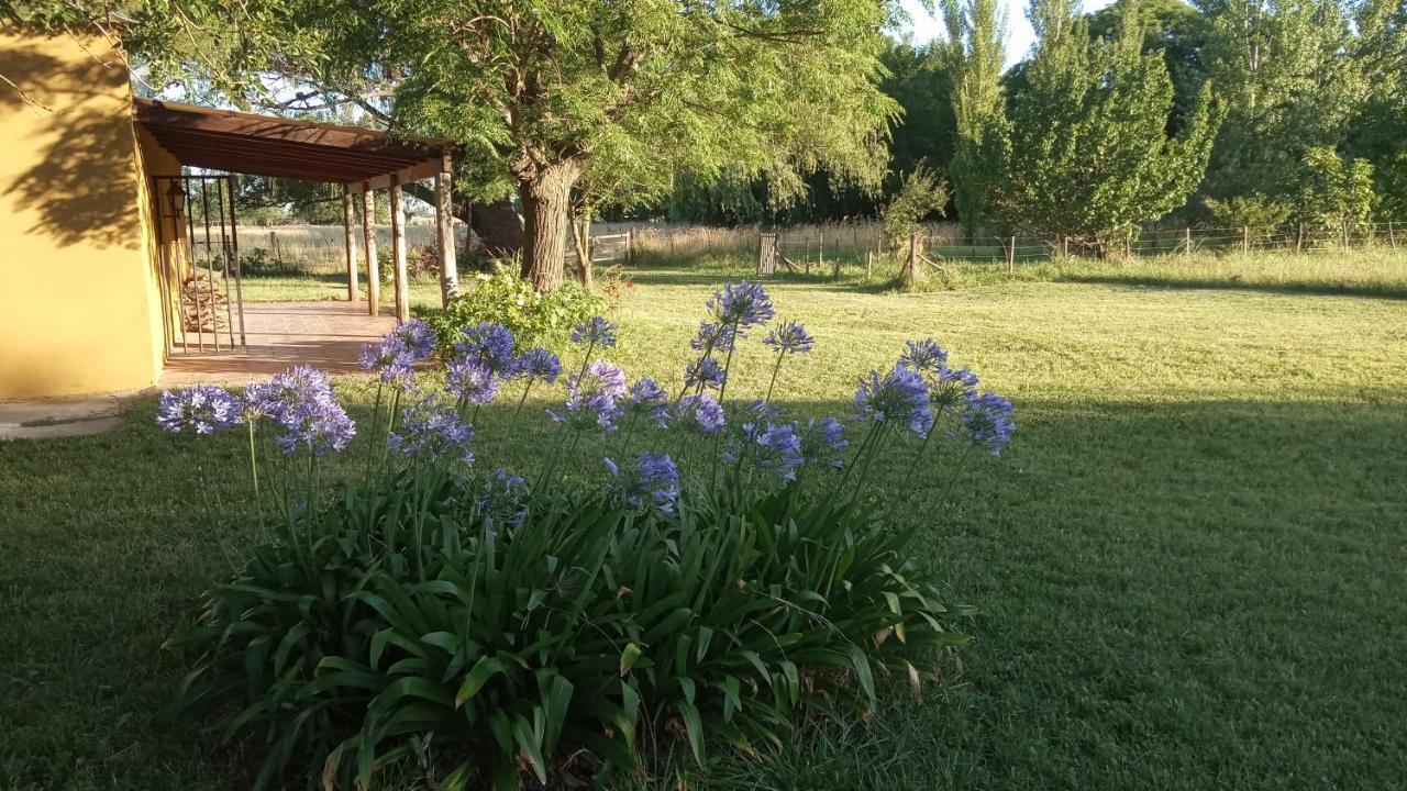 Don Luis Bueno Carmen de Areco