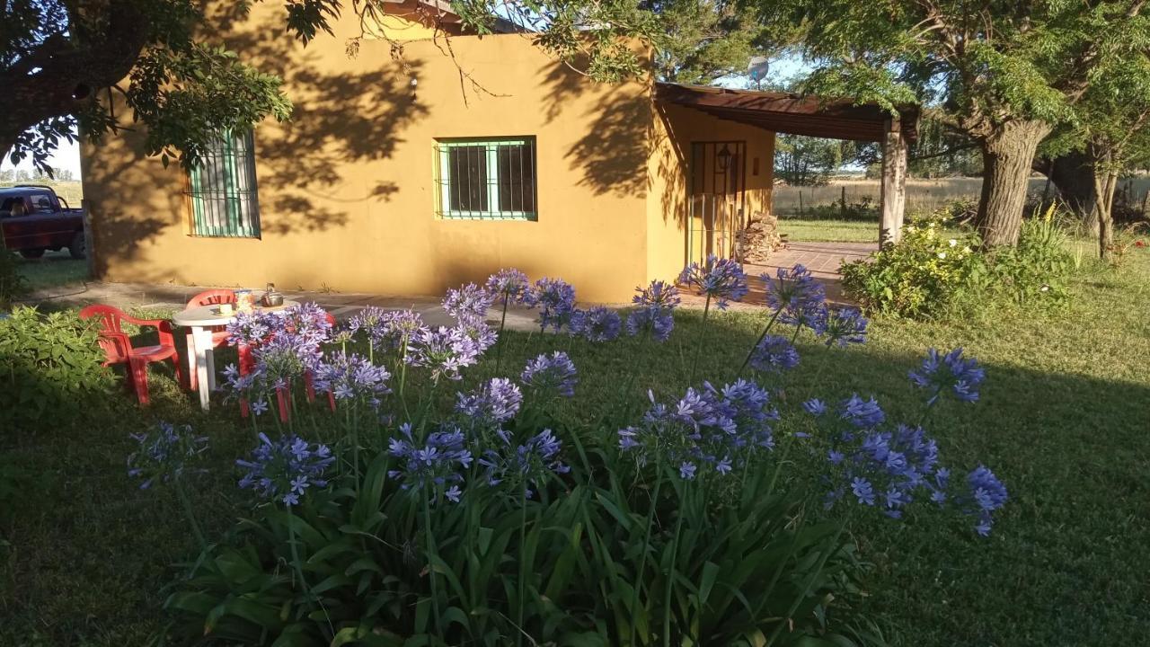 Holiday home Don Luis Bueno Carmen de Areco
