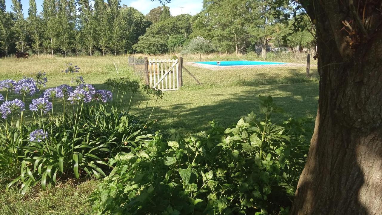 Don Luis Bueno Holiday home Carmen de Areco