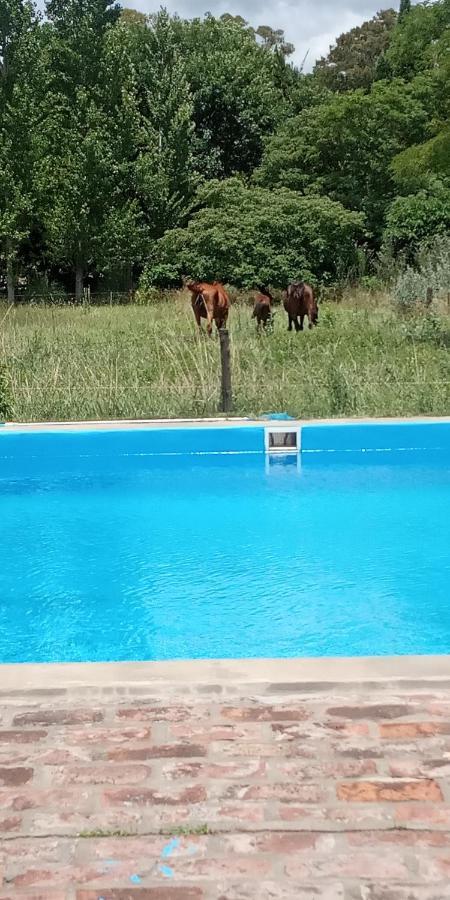 Don Luis Bueno * Carmen de Areco